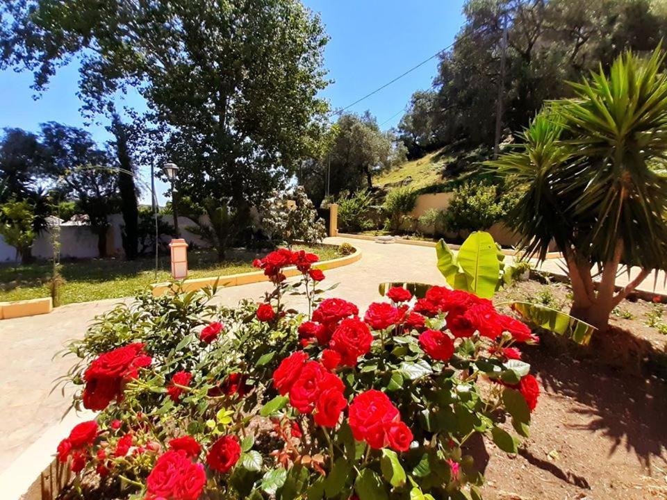 Villa Silvia Ágios Matthaíos Zewnętrze zdjęcie
